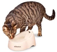 Cat Feeding & Watering - Automatic Feeders & Waterers For Cats